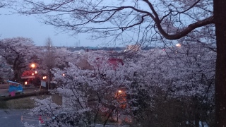 �S���ɂX���ɐ��R�����ɍs�������̎ʐ^