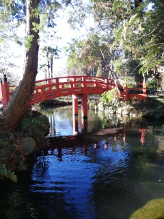 �����_�_�Ѝs���Ă���(*�L�́M)�?