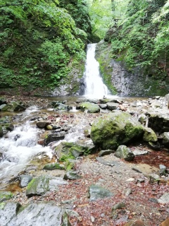 ����s���������̑�`�B�ƂĂ��ǂ������R(�E�́E)�m