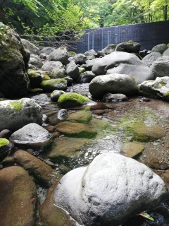 ���T�̓��j�ɍs�������m��`�ƂĂ��ǂ�����(*�L�́M*)