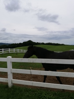 �i�X�t�@�[���r���b�W����